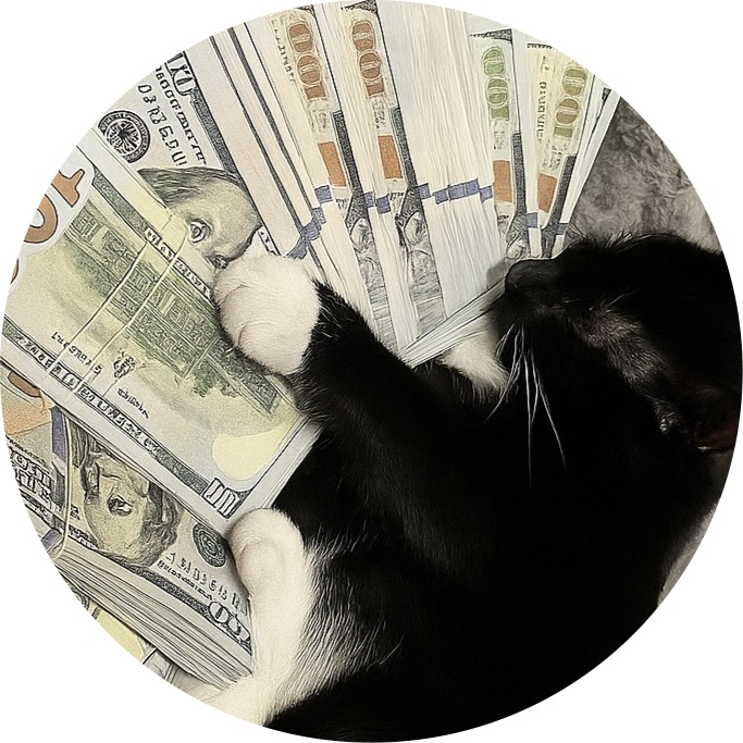 nqchris1's profile picture
